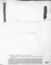Wuestneia chrysostroma image